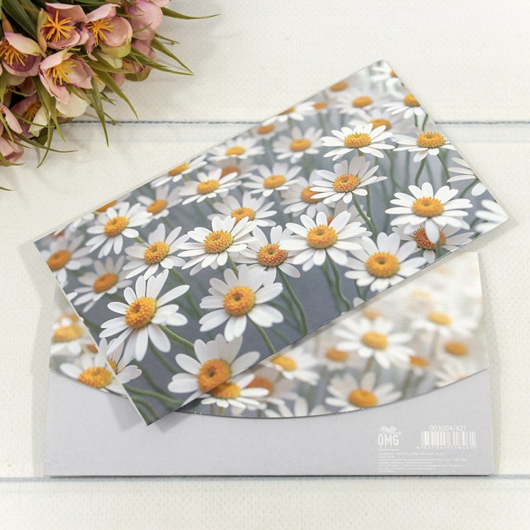 003004/421 Конверт подарочный 16,5*9см 421 1/10 1/250