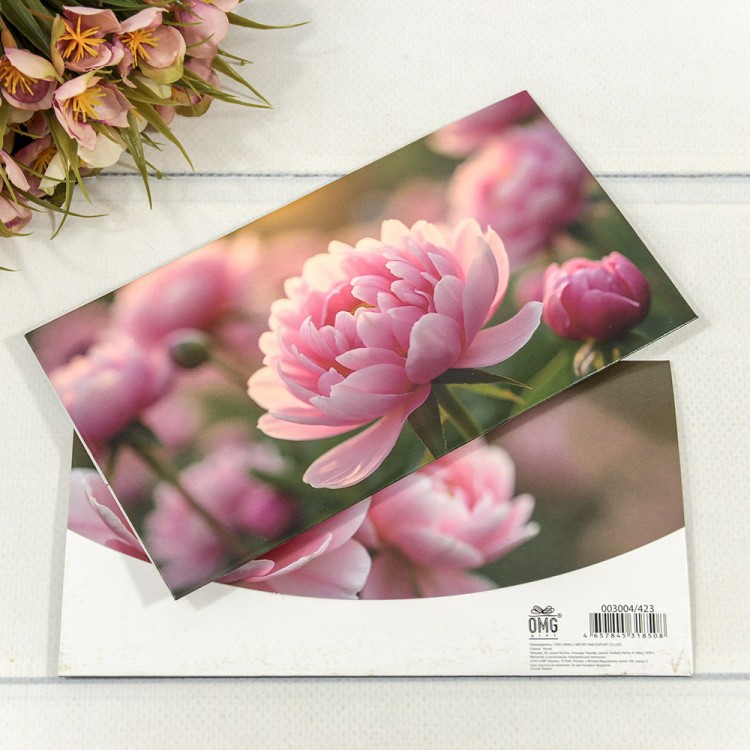 003004/423 Конверт подарочный 16,5*9см 423 1/10 1/250