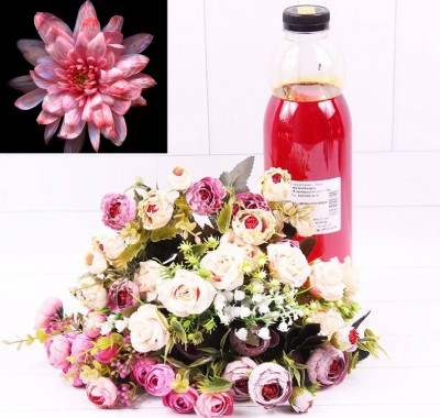 1400011-1 Краска для живых цветов Красная (№ 11) 1 Л 1/1 1400011-1 Краска для живых цветов Красная (№ 11) 1 Л 1/1