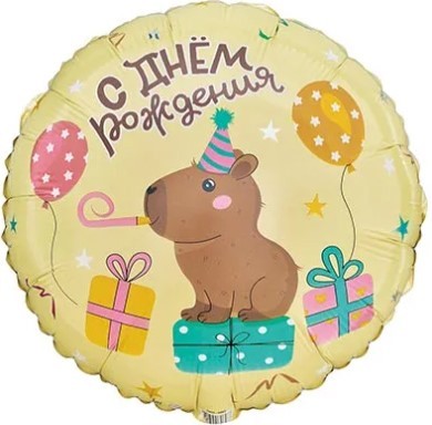 1202-4062 Шар круг 45см ДР Капибара