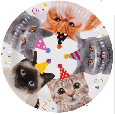 1502-6545 Тарелка Котики фотографичные 17см 6шт/G