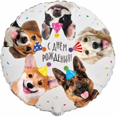 1202-4030 Шар круг 45см С ДР Собачки фотографичные