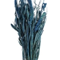 могар сухоцветы