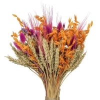 букеты сухоцветов